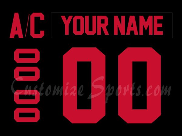 Huntsville Havoc Customized Number Kit for 2024-2025 Off The Back Jersey