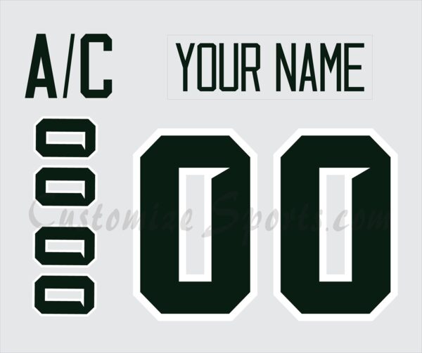 NCAA Michigan State Spartans Customized Number Kit for 2023-Present Home Hockey Jersey