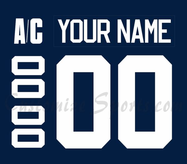 Shawinigan Cataractes Customized number Kit For 2009 Blue Jersey