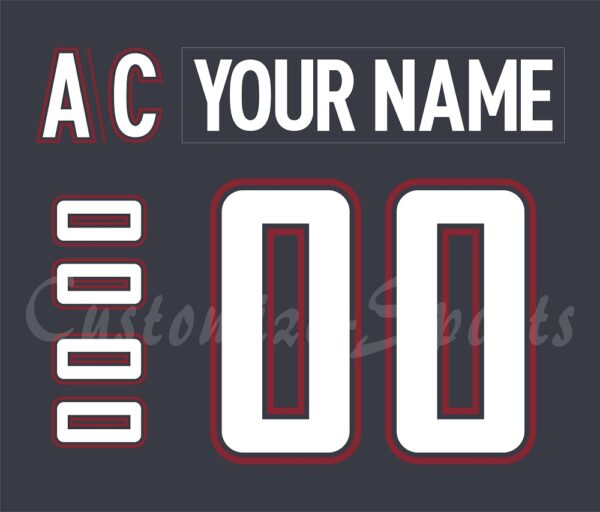 Chicago Wolves Customized Number Kit For 2019 Shirt Off Their Backs Jersey