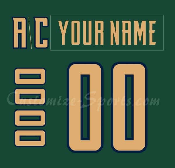 Coachella Valley Firebirds Customized Number Kit For 2025 St. Patrick’s Jersey
