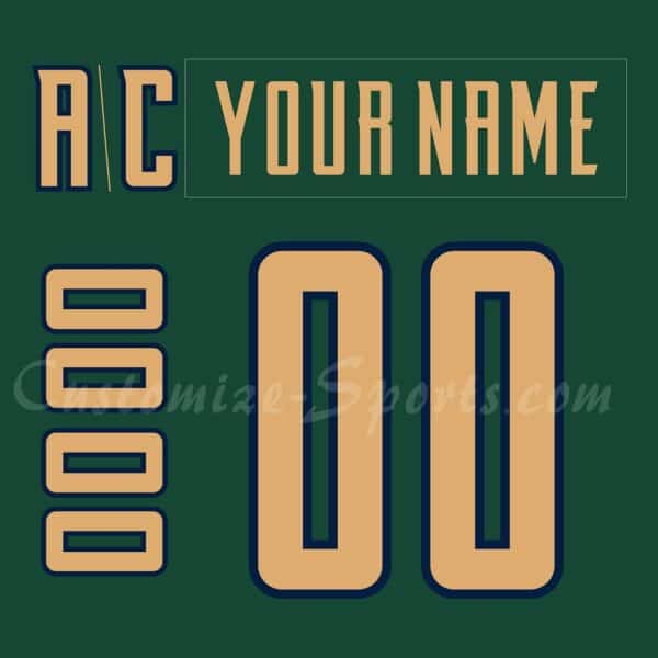 Coachella Valley Firebirds Customized Number Kit For 2025 St. Patrick’s Jersey