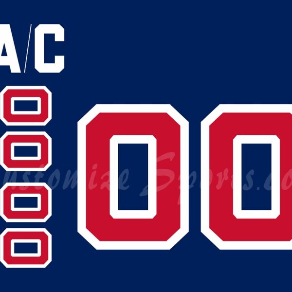 IIHF Team USA Customized Number Kit for 2004 World Cup of Hockey Blue Jersey