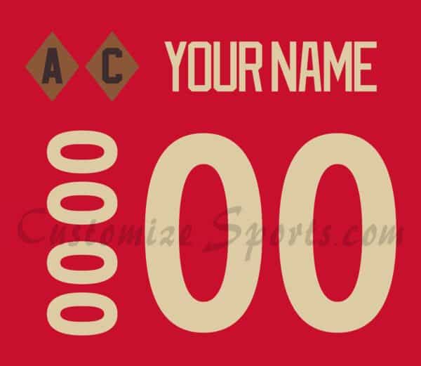 Detroit Red Wings Customized Number Kit For 2025-2026 100th Anniversary Jersey