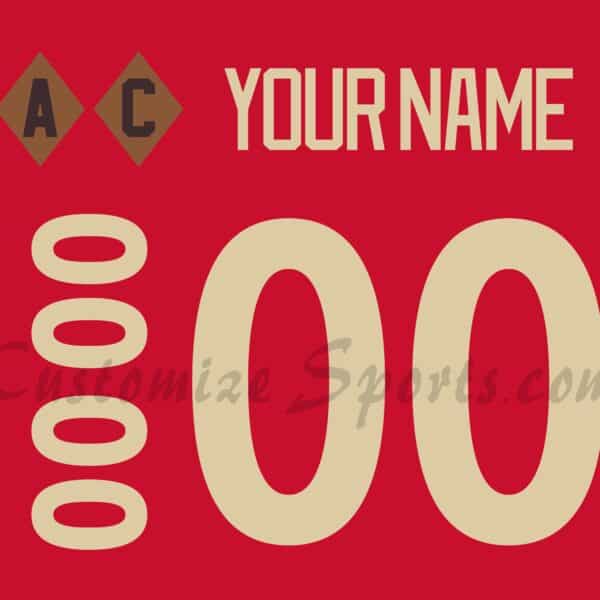 Detroit Red Wings Customized Number Kit For 2025-2026 100th Anniversary Jersey